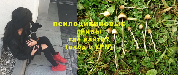 COCAINE Горно-Алтайск