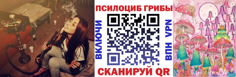 Псилоцибиновые грибы Psilocybe Купить где Кочубеевское